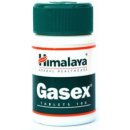 Doplněk stravy Himalaya Gasex 100 tablet