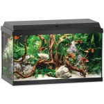 Juwel Primo 60 LED akvarijní set černý 61 x 31 x 37 cm 57 l – Hledejceny.cz
