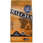 Annamaet Grain Free Salcha 11,35 kg – Hledejceny.cz