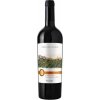 Víno Piccini Montepulciano d'Abruzzo DOC 13% 0,75 l (holá láhev)