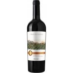 Piccini Montepulciano d'Abruzzo DOC 13% 0,75 l (holá láhev) – Hledejceny.cz
