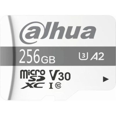 Dahua Technology TF-P100 MicroSDXC 256 GB TF-P100-256G – Zboží Živě