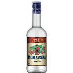 R.Jelínek Moravská Malina 30% 0,5 l (holá láhev) – Hledejceny.cz