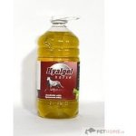 Silvita Hyalgel Horse jablko 5 l – Zboží Dáma