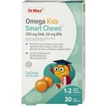 Dr. Max Omega Kids Smart Chews 30 ks – Hledejceny.cz