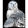 Škrábací  obrázek Royal & Langnickel Škrabací obrázek stříbrný Sněžné sovy