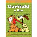 Garfield u lizu č.23) - J. Davis
