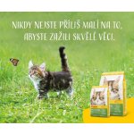 Josera Kitten grainfree 10 kg – Zboží Mobilmania