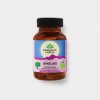 Organic India Amalaki antioxidant s přírodním vitaminem C 60 kapslí