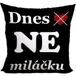 Impar Polštář Dnes ano ne 40x40 – Zboží Mobilmania