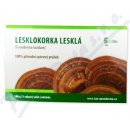 Lesklokorka lesklá 100 g