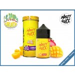 Nasty Juice Yummy Shake & Vape Cush man 20 ml – Zboží Dáma