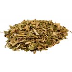 Salvia Paradise Pohanka nať 50 g – Zbozi.Blesk.cz