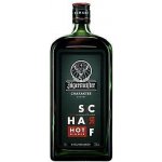 Jägermeister Scharf Hot Ginger 33% 1 l (holá láhev) – Sleviste.cz