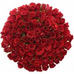 Kytice 100 červených růží RED CALYPSO 50 cm – Zboží Dáma