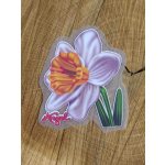 Nažehlovací obrázky narcis – Zboží Dáma