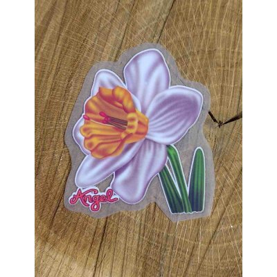 Nažehlovací obrázky narcis – Zboží Dáma