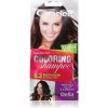 Šampon Delia Cosmetics Cameleo Coloring Shampoo tónovací šampon na vlasy odstín 6.3 Hazel Mocha 40 ml