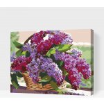 Vymalujsisam MALOVÁNÍ PODLE ČÍSEL KOŠÍK PLNÝ ŠEŘÍKU – Zboží Dáma