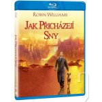 Jak přicházejí sny BD – Zboží Dáma