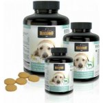 Belcando Fiber-Tabs balení 200 tablet – Hledejceny.cz