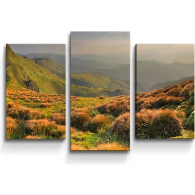 Sablio Obraz - 3-dílný Travnatá krajina - 75x50 cm – Hledejceny.cz