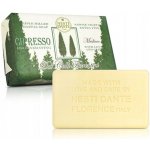Nesti Dante Dei Colli Fiorentini mýdlo Cypřiš 250 g – Zboží Dáma Nesti Dante Dei Colli Fiorentini mýdlo Cypřiš 250 g – Zboží Dáma