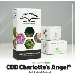 Dutch Passion CBD Charlotte´s Angel semena neobsahují THC 3 ks