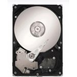 Seagate Constellation ES.2 3TB, 7200rpm, SATA-6G, 64MB, ST33000650NS – Hledejceny.cz