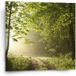 Sablio Obraz Lesní cesta - 110x110 cm – Hledejceny.cz