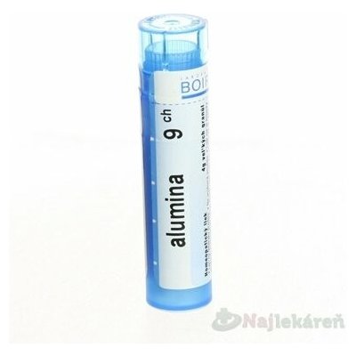 ALUMINA POR 9CH GRA 1X4G – Hledejceny.cz