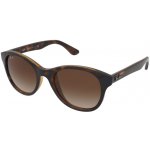 Ray-Ban RB4203 710 13 – Hledejceny.cz