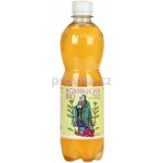 Stevikom Kombucha Meduňka 0,5 l – Zboží Dáma