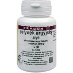 Sinecura Pelyněk argyjský Aiye extrakt 20 g – Hledejceny.cz
