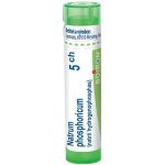 NATRUM PHOSPHORICUM POR 5CH GRA 1X4G – Hledejceny.cz