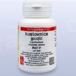Sinecura kustovnice Goji gouqizi 20 g instantní prášek – Hledejceny.cz
