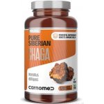Carnomed Pure Siberian CHAGA 500 mg 120 kapslí – Hledejceny.cz