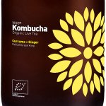 Vigo bio kombucha kurkuma a zázvor 330 ml – Zboží Dáma Vigo bio kombucha kurkuma a zázvor 330 ml – Zboží Dáma