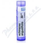 ECHINACEA ANGUSTIFOLIA POR 30CH GRA 1X4G – Hledejceny.cz