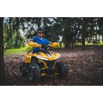 Lamax eBumbleBee ATV60M | Zboží Auto