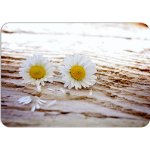 PokojovaDekorace.cz prostírání 166 Květiny 43x30cm – Zboží Dáma