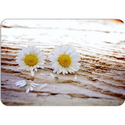 PokojovaDekorace.cz prostírání 166 Květiny 43x30cm – Zboží Dáma