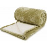 Polášek Mikroplyšová deka zelená 150x200 – Zboží Dáma