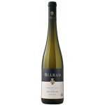 Allram Ried Gaisberg Gruner Veltliner 2022 Bílé 13% 0,75 l (holá láhev) – Hledejceny.cz