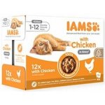 Iams Delights kitten kuře v omáčce 12 x 85 g – Hledejceny.cz