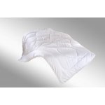 Brotex přikrývka Thermo celoroční 1230g 140x220 – Zboží Dáma