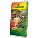Agro CS Primaflora Rašelina 75 l – Zboží Dáma