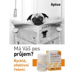 Orion Pharma Aptus Attapectin 30 tbl – Zboží Mobilmania