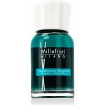 Millefiori Natural Difuzér Mediterranean Bergamot 100 ml – Zbozi.Blesk.cz