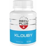 RECUPLUS klouby 90 tablet – Hledejceny.cz